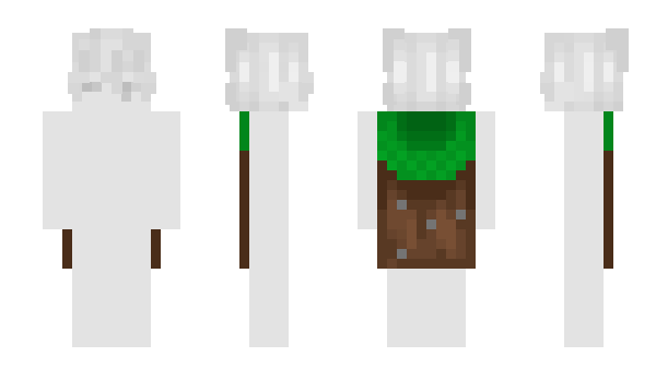 Minecraft скин по нику Nott_001