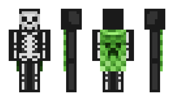 Minecraft skin liasosfp