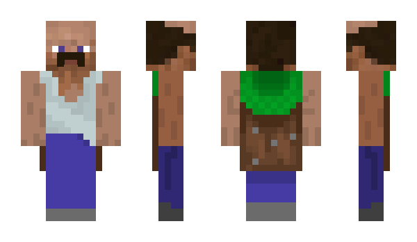 Minecraft skin Peulin