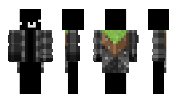 Minecraft skin 12x2