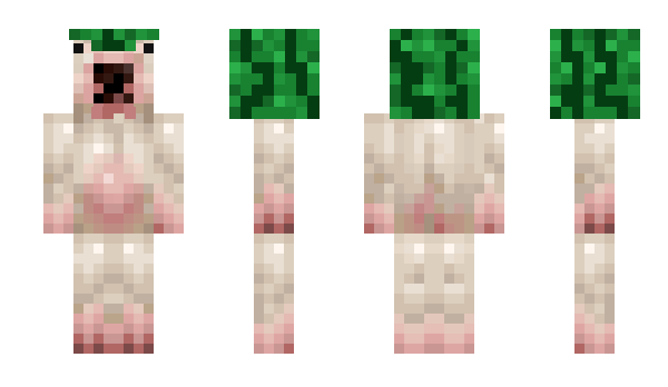 Minecraft skin Shwety