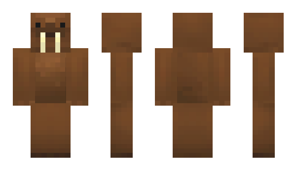 Minecraft skin Domzino