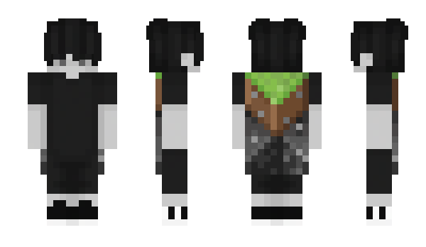 Minecraft skin ProstoPlayer009