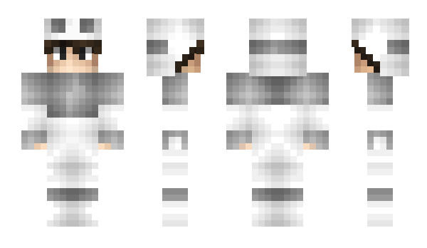 Minecraft skin stngi