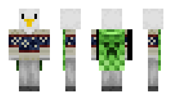 Minecraft skin ShigaruFR