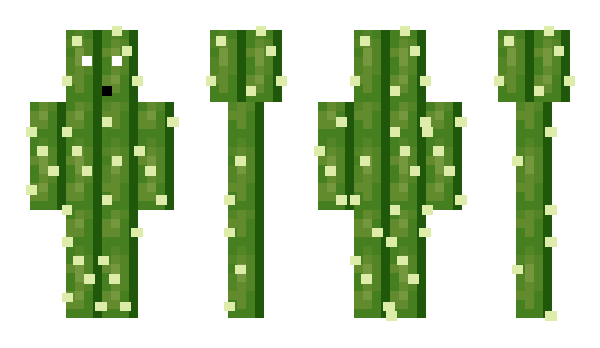 Minecraft skin Lova67
