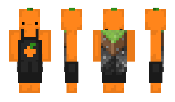 Minecraft skin Orange1294