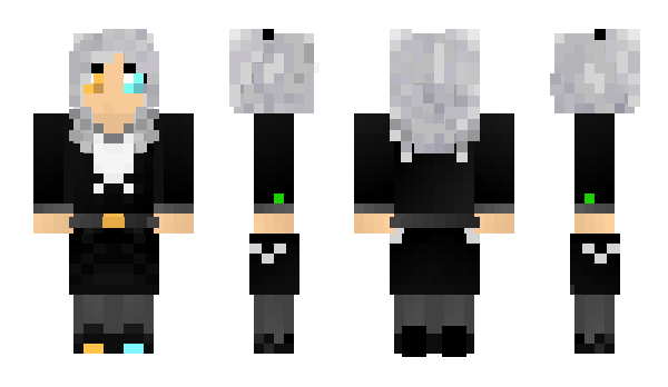 Minecraft skin EnDly_fly