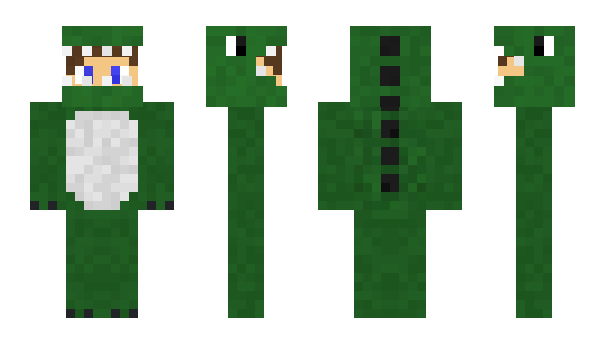 Minecraft skin danilca