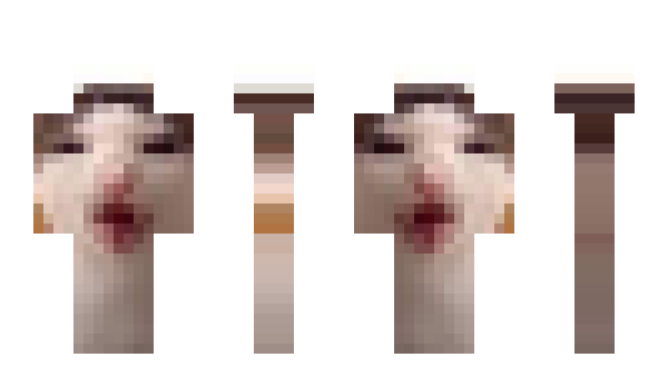 Minecraft skin p0n4lk