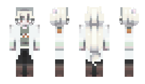 Minecraft skin Duskyocolot