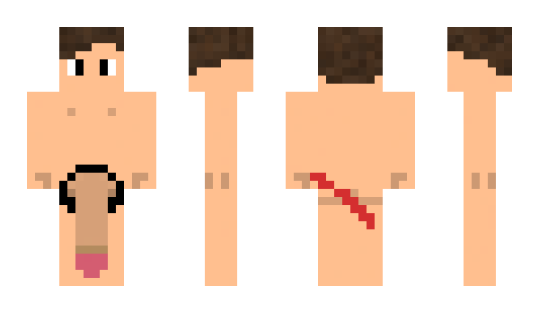 Minecraft skin Sinerla