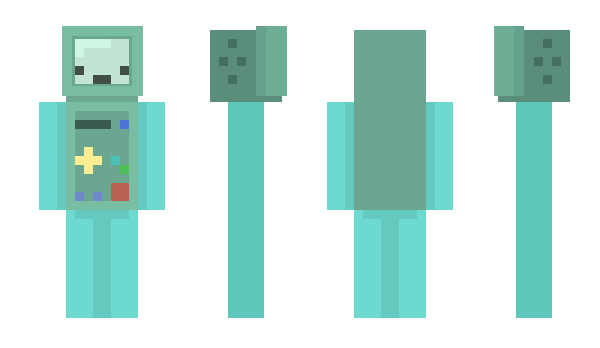 Minecraft skin bokayla