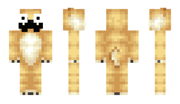 Minecraft skin mikelpq