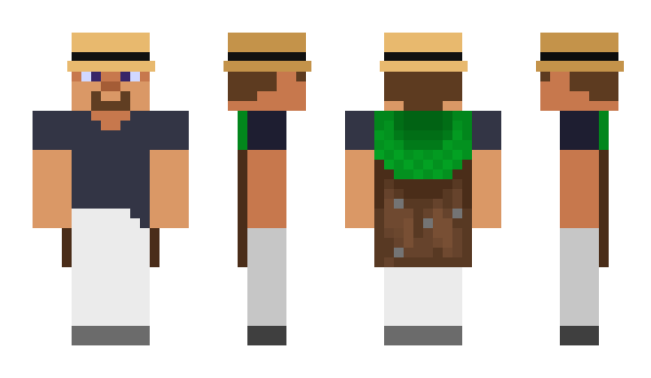 Minecraft skin dnul