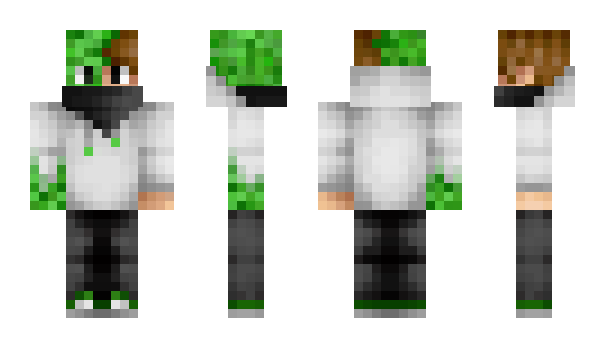 Minecraft skin SteFy