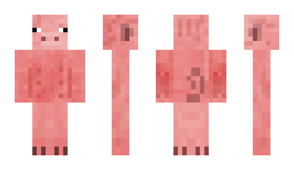 Minecraft skin lauritongaa