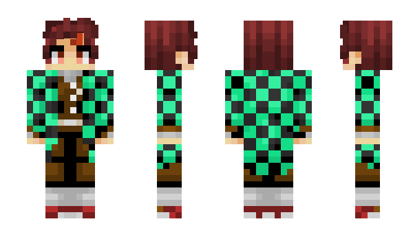 Minecraft skin _co