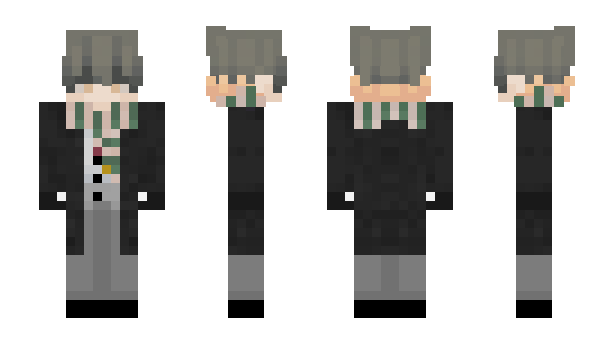 Minecraft skin alsesn