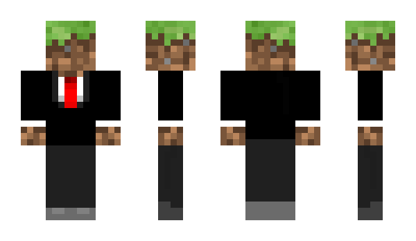 Minecraft skin flough