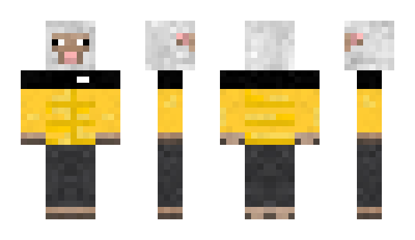 Minecraft skin tosl