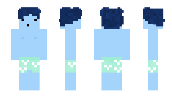 Minecraft skin boqet