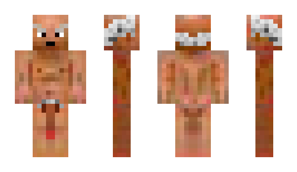 Minecraft skin dewildekoe