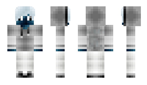 Minecraft skin _Stinge