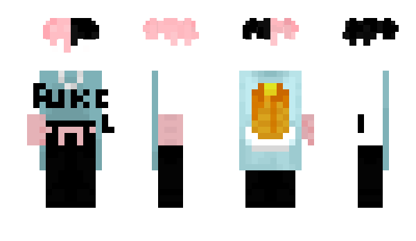Minecraft skin michelcycle