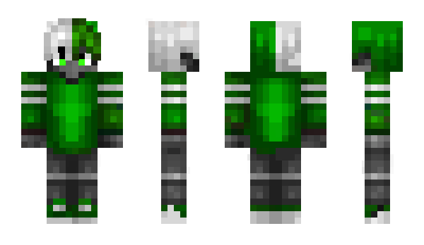 Minecraft skin Toodr