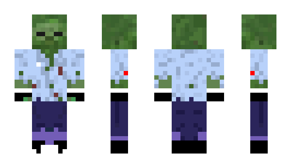 Minecraft skin Aakela