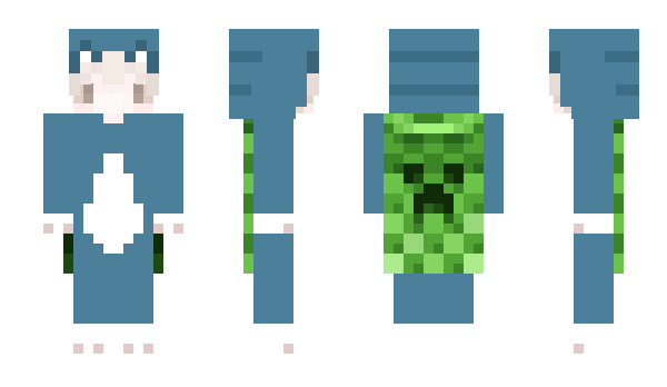 Minecraft skin C0NNE