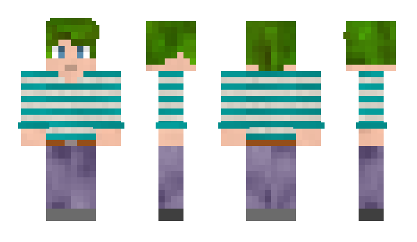 Minecraft skin CHTIN