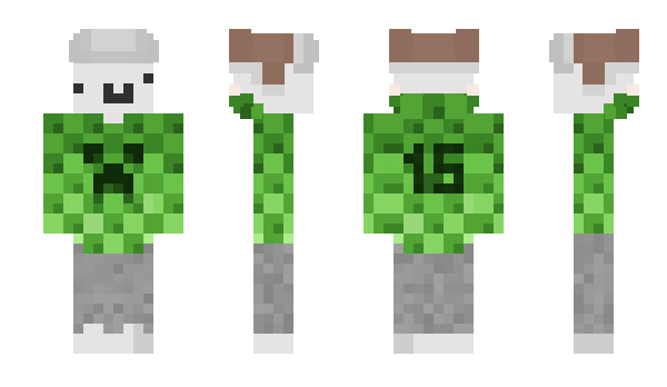 Minecraft скин по нику Toastte