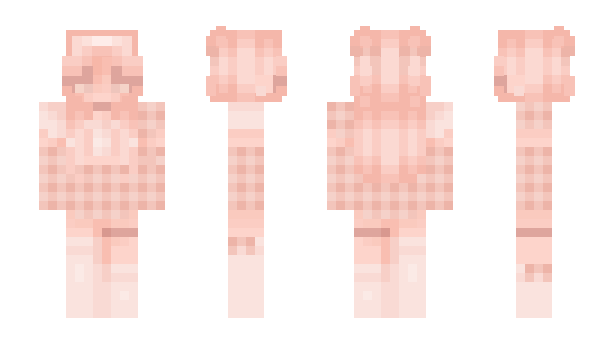 Minecraft skin mrslara