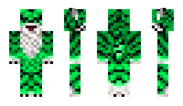 Minecraft skin Vzify