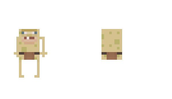 Minecraft skin Wawplox