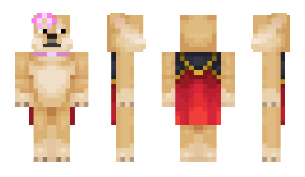 Minecraft skin Hashi