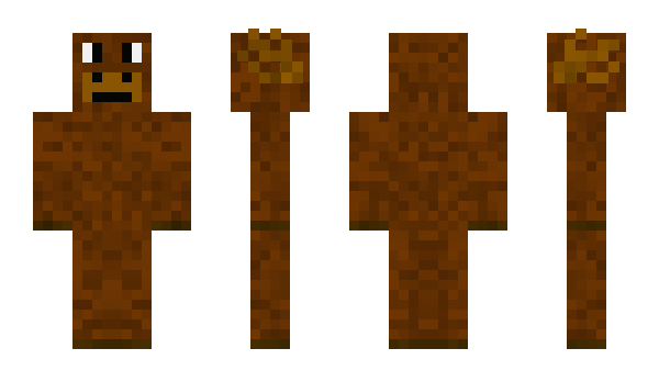 Minecraft skin DenBrunstige