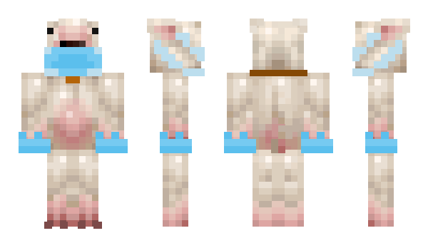 Minecraft skin PotatoPlasma