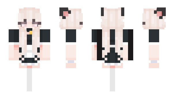 Minecraft skin LadyPOLAND