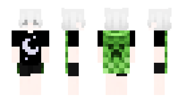 Minecraft skin Akimiitsu