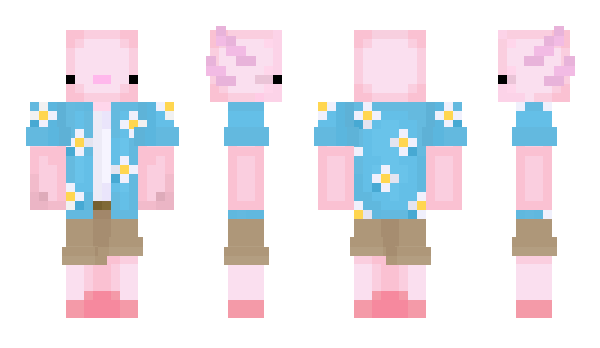 Minecraft skin Axocali