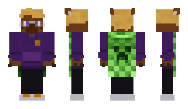 Minecraft skin drafu