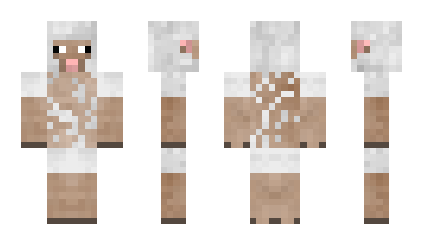 Minecraft skin Confidingcrown2