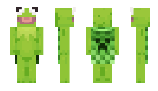 Minecraft skin flapie