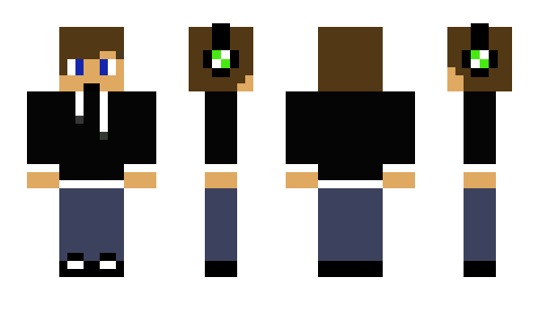 Minecraft skin 30211