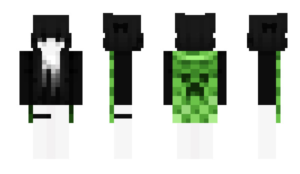 Minecraft skin 2433