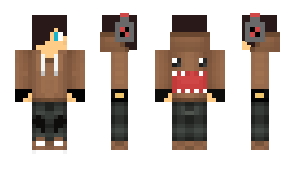 Minecraft skin KameraDW