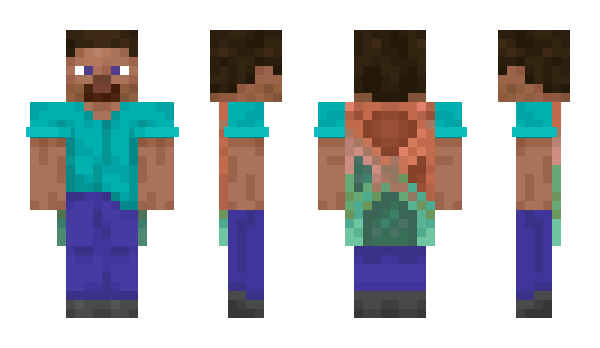 Minecraft skin Polep
